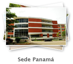 Sedes