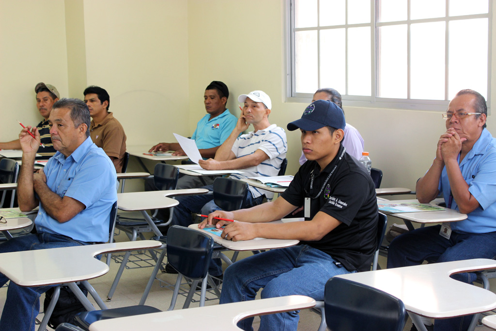 Días laborables Cerebro junto a Jornada de Salud y Seguridad en el Trabajo | Universidad Tecnológica de  Panamá