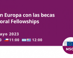 Webinar 12 de mayo