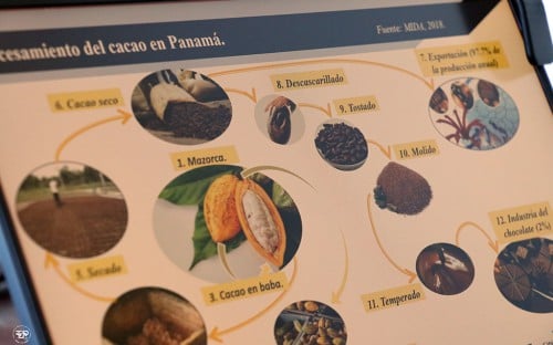 En la UTP presentan resultados de proyecto sobre la producción de cacao.