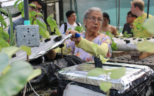 El Laboratorio de Cultivos Vegetales recibe visitantes internacionales, movilidad internacional UTP