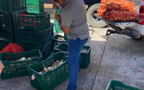 Inicia proceso de validación del Contenedor Móvil para el Secado de Cebolla.