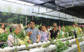 El Laboratorio de Cultivos Vegetales recibe visitantes internacionales, movilidad internacional UTP