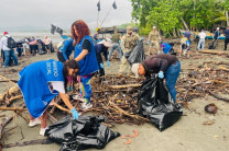 Durante la jornada de limpieza de playa organizada por la Gobernación de Chiriquí.