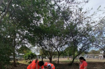 Con entusiasmo y compromiso, los estudiantes sembraron árboles en los terrenos de la UTP – Sede Azuero, en conmemoración del Día Mundial de la Tierra. Con entusiasmo y compromiso, los estudiantes sembraron árboles en los terrenos de la UTP – Sede Azuero, en conmemoración del Día Mundial de la Tierra.