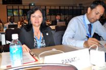 Participación de Panamá en la sesión plenaria.