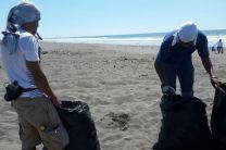 Club Leones Universitario de la UTP Chiriquí realiza limpieza de playa 