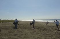 Club Leones Universitario de la UTP Chiriquí realiza limpieza de playa 