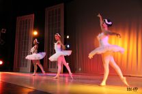 Artistas de las danzas se presentaron en el Teatro Auditorio de la UTP.