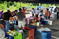 A la feria asistieron más de 12 productores de diferentes rubros.