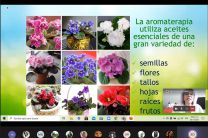 Aceites Esenciales