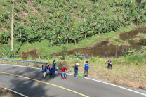 Estudiantes reforestando en la orilla de la carretera.