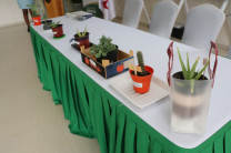 Charla sobre promoción de beneficios de plantas suculentas en la UTP.