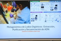 La investigación inició con la recolección de muestras de lodos digeridos de la PTAR de Juan Díaz.