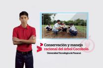 Conservación y Manejo Racional del Árbol Cocobolo.