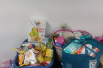 Colecta de materiales. Colecta de materiales