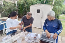 Fortalecimiento de capacidades en evaluación de carbono azul. 