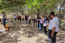 Desarrollo de una de las actividades de agilidad física. Desarrollo de una de las actividades de agilidad física.