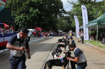 Unidad Canina de la Policía Nacional.