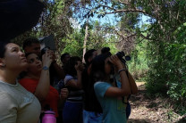 Reconocimiento de especies de flora y fauna de estos ecosistemas.