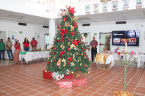 Encendida del Arbolito Navideño.