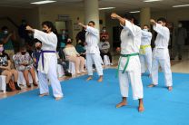 Presentación de Fundamentos del Karate.