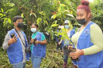 Estudiantes de la UTP, en labores de reforestación.