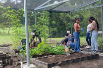 Estudiantes limpiando el huerto. 