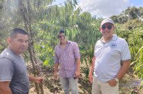 Explicación dentro de una de las parcelas de la Finca de Café Ovalle