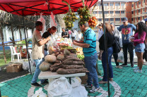 Frutas y vegetales en la UTP.