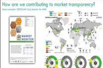 Presentación de la Iniciativa Market Monitor del Sistema de Información del Mercado Agrícola (AMIS).