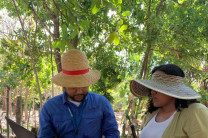 Trabajo de campo.