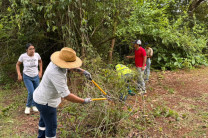 Personal administrativo de la UTP participa de la Jornada Ambiental.