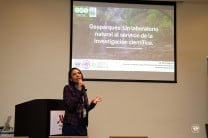 La Ing. Rita Rodríguez, durante su exposición.