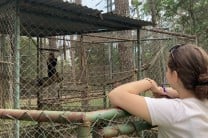 Estudiantes internacionales del primer semestre 2023, visitan el Zoológico.