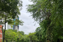 Recorrido por el Aljibe de la UTP.