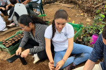 Realizaron el llenado de más de 2,500 bolsitas destinadas a la producción de plantones y el procesamiento de semillas de especies nativas como quira, cocobolo y cabimo.