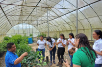 Complementando el curso de "Sistemas Ambientales" dictado por la docente MSc. Eunith González, la visita tuvo como objetivo conocer el sistema de viveros que posee el centro educativo.