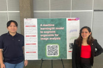 Ludeña, en conjunto con el estudiante Chi San Fung, ejecutaron el proyecto "A machine learning model to segment organoids for image analysis".