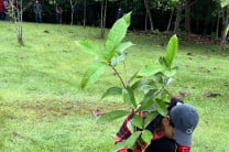 Este evento se desarrolló en los predios del Centro Regional con el objetivo de promover la sostenibilidad ambiental y fomentar la educación ecológica entre estudiantes y miembros de la comunidad.