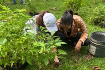 Durante las jornadas, los voluntarios participaron activamente en la limpieza y preparación del terreno, para posteriormente realizar la siembra de 200 árboles de especies como guayacanes, frutales y árboles maderables.