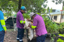 El Centro Regional de Veraguas reafirma su compromiso con el desarrollo sostenible, la preservación del medio ambiente y el fortalecimiento de los lazos entre la universidad y la comunidad, en aras de un futuro más verde y consciente.