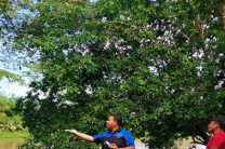 Utilizando Drones para el monitoreo del cultivo.