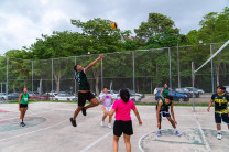 Liga Interfacultades de Voleibol Mixto 2026. Liga Interfacultades de Voleibol Mixto 2026.