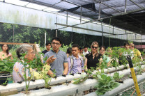 Recorrido por el sistema hidroponico Recorrido guiado por el laboratorio integrado de cultivos vegetales