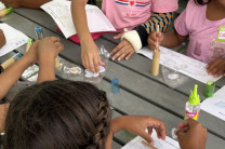 Actividad Educativa.