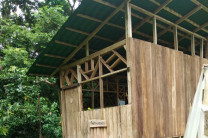 Modernización de la postcosecha del cacao.