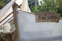 Modernización de la postcosecha del cacao.