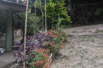 Plantaciones cultivadas en la reservación.