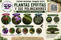 Plantas Epífitas y sus polinizadores. Plantas Epífitas y sus polinizadores.